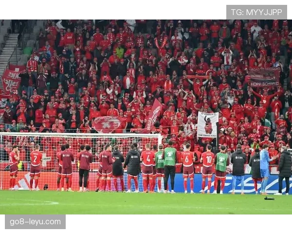 欧洲U19锦标赛激战正酣，新兴足球力量强势崛起，冠军归属引万众瞩目