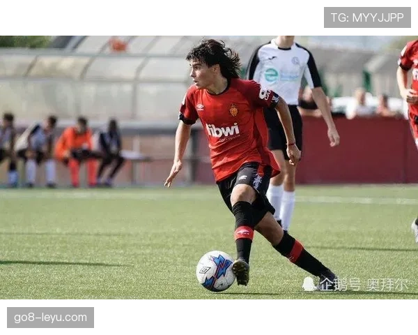 西甲年度最佳球员揭晓，明星球员凭借稳健表现再获殊荣