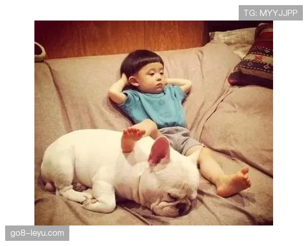 拉文家的狗都比我会花钱